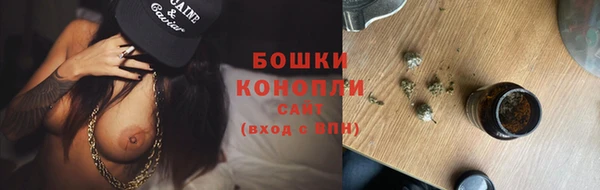 прущий лед Новозыбков