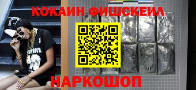 СК Кингисепп