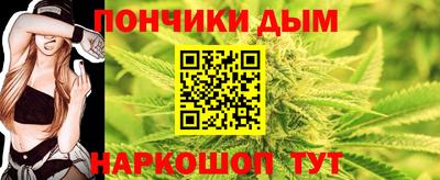 СК Кингисепп