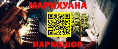 СК Кингисепп