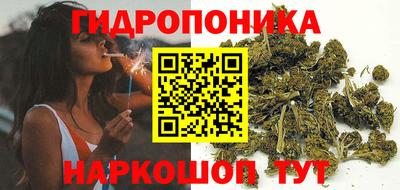 ECSTASY Кимры