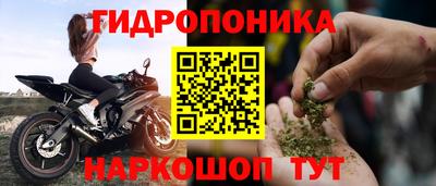 ECSTASY Кимры
