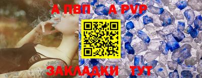 СК Кингисепп